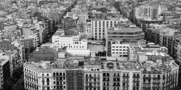 Delitos Contra la Propiedad / Urbanísticos Fuente Álamo de Murcia · Parcelación en Suelo No Edificable